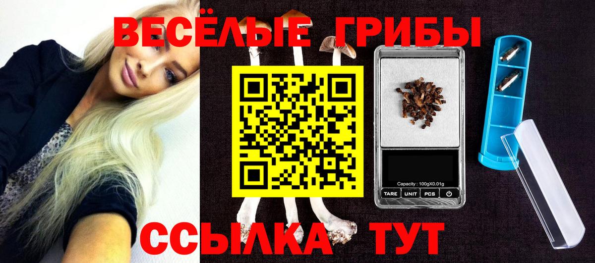 Псилоцибиновые грибы MAGIC MUSHROOMS  Вход с VPN  Псилоцибиновые грибы Psilocybe  Ялта 