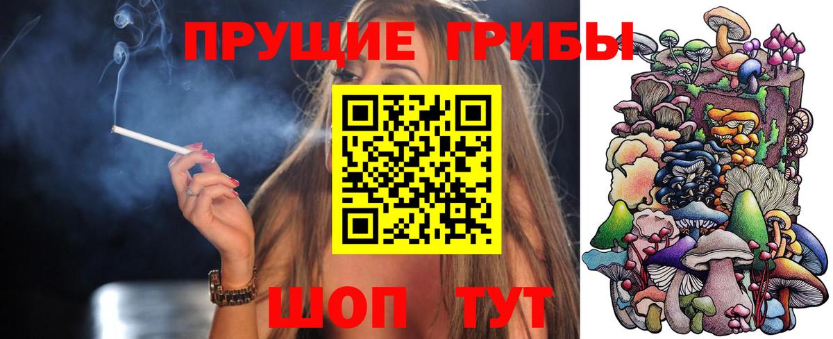 Галлюциногенные грибы Psilocybine cubensis Ялта